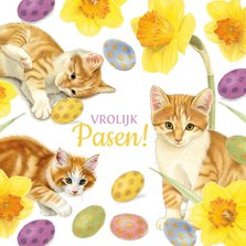 Paaskaart met vrolijke kittens tussen de narcissen