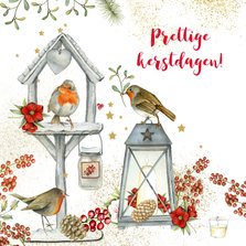Prettige Kerstdagen vogelhuisje roodborstjes