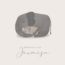 Rouwkaartje illustratie grote olifant met klein olifantje 