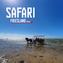 Safari Friesland Style 2