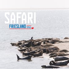 Safari Friesland Style