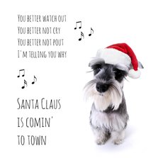 Santa claus dog-isf