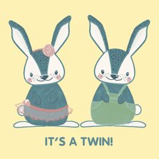 Schattige felicitatiekaart geboorte tweeling meisje & jongen