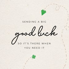 Sendig a big good luck - love plane - succeskaart