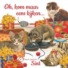 Sinterklaaskaart met katten oh kom maar eens kijken