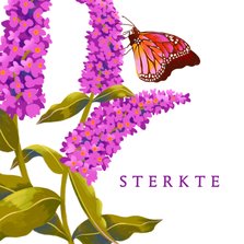Sterkte kaart vlinder paarse bloemen