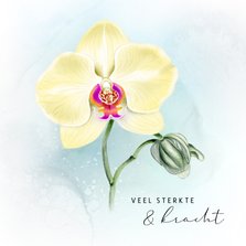 Sterktekaart met Orchidee