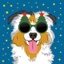 Stoere kerstkaart met hond met zonnebril