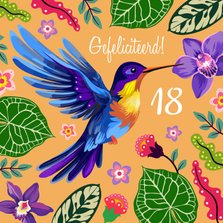 Tropische kolibrie verjaardagskaart