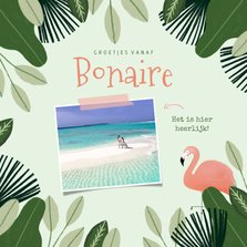 Tropische vakantiekaart Bonaire met jungle kader en flamingo