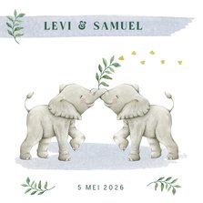 Tweeling geboortekaartje jongens met lieve olifantjes