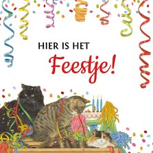 Uitnodigingskaart met feestelijke katten en confetti