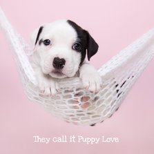 Valentijn - Puppy Love - Hond hangmat roze
