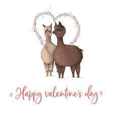 Valentijn - twee lama's happy valentine