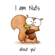 Valentijnskaart eekhoorntje - I am nuts about you!