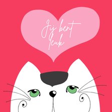 Valentijnskaart - Kat - jij bent leuk