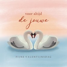 Valentijnskaart met illustratie van twee zwanen