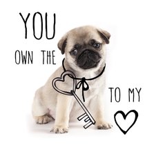 Valentijnskaart met lief hondje