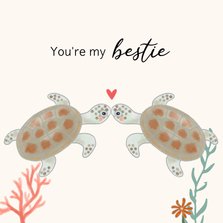 Valentijnskaart - Schildpadjes met hartje