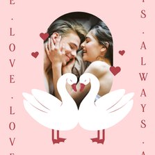 Valentijnskaartje met zwanen hartjes en eigen foto