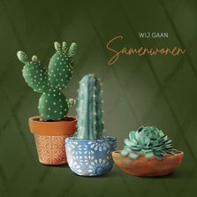Verhuiskaart cactussen en succulent samenwonen