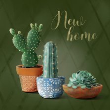 Verhuiskaart new home cactussen en succulent