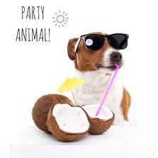 Verjaardag - Boris de hond - Party Animal