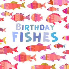 Verjaardagskaart birthday fishes kleurrijk vierkant