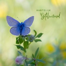 Verjaardagskaart blauwe vlinder