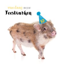 Verjaardagskaart - Feestvarkentje met feesthoedje