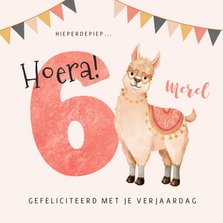 Verjaardagskaart kind 6 jaar alpaca slingers roze