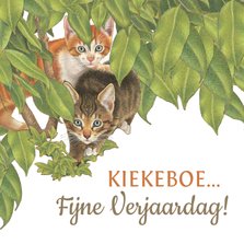 Verjaardagskaart Kittens zeggen Kiekekboe!