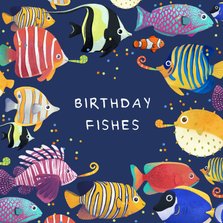Verjaardagskaart kleurrijk vissen grappig birthday fishes