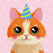 Verjaardagskaart lieve oranje kat