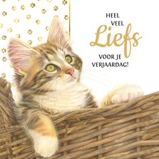 De Leukste Katten Verjaardagskaarten | Kaartje2Go
