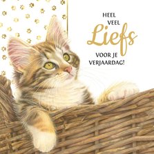 Verjaardagskaart met felicitatie van kitten Francy