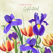 Verjaardagskaart met irissen en tulpen