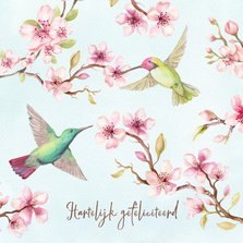 Verjaardagskaart met kersenbloesem en kolibri's