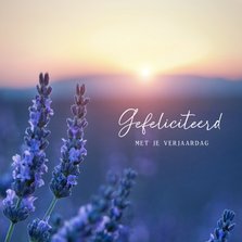 Verjaardagskaart met natuurfoto van lavendel veld