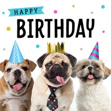 Verjaardagskaart met schattige hondjes