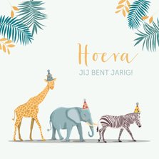 Verjaardagskaart olifant giraf zebra feestmuts