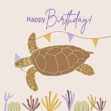 Verjaardagskaart schildpad met feesthoedje