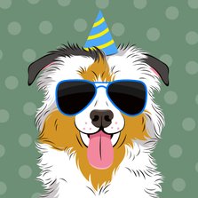 Verjaardagskaart stoere hond met feesthoed