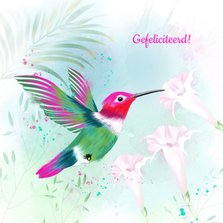 Verjaardagskaart tropisch met kolibrie