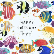 Verjaardagskaart vissen birthday fishes kleurrijk confetti