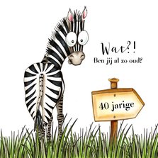 Verjaardagskaart zebra met wegwijzer