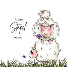 vriendschap kaarten stapel schapen