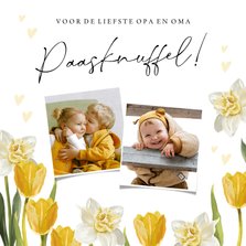 Vrolijk paaskaart met voorjaarsbloemen en foto's
