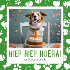 Vrolijke groene verjaardagskaart met dierenicoontjes