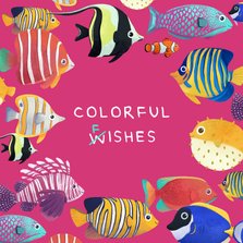 Wenskaart groetjes colorful fishes vissen kleurrijk